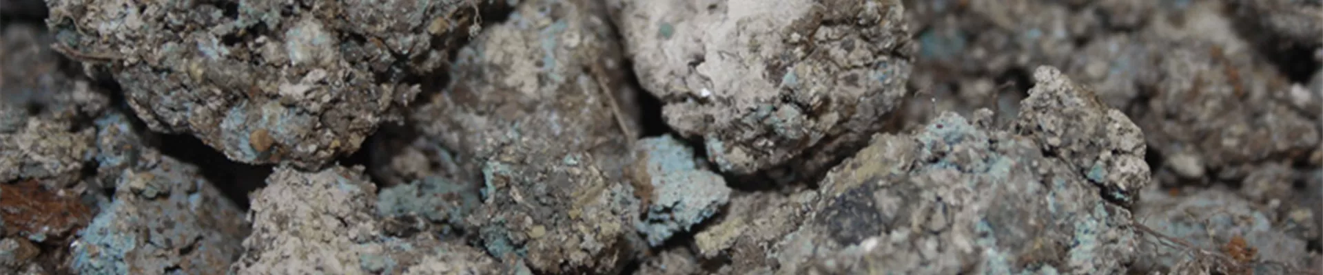 content-3101 content-3101