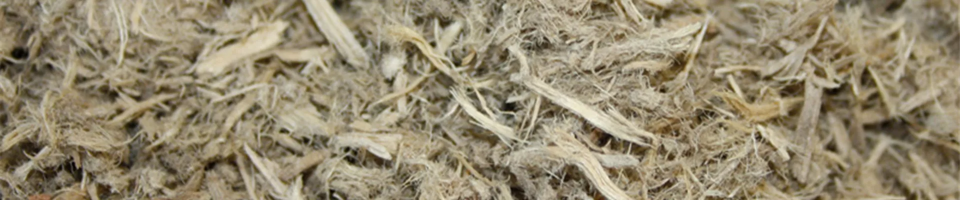 content-3104 content-3104