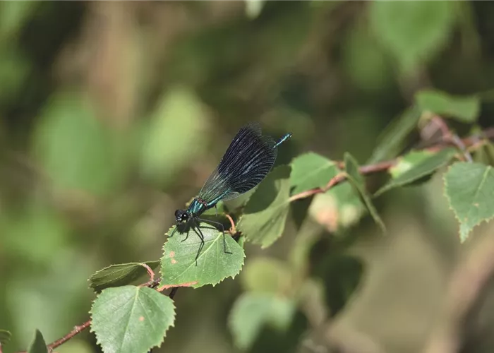 Nachhaltigkeit Nachhaltigkeit