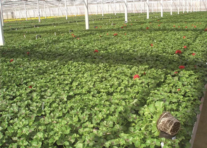 Qualitätssicherung Qualitätssicherung