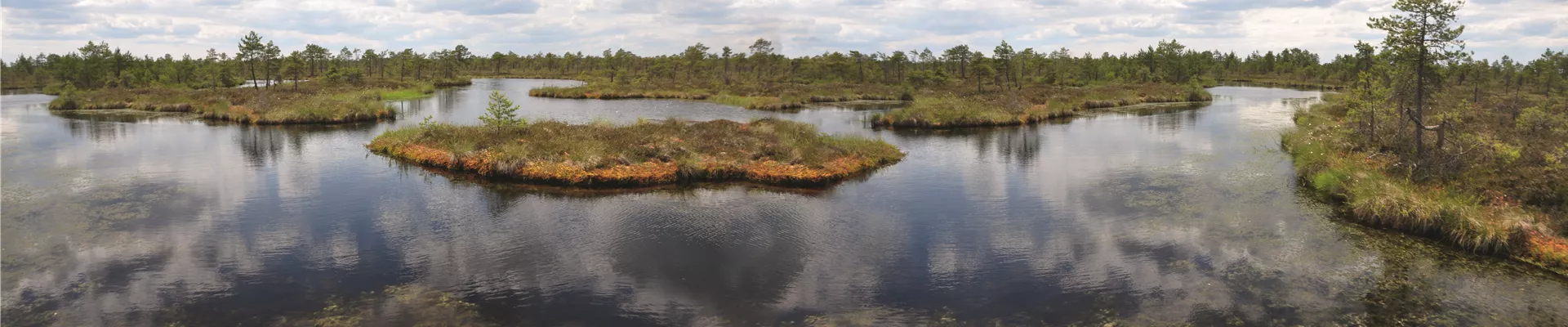 Hochmoor Estland_0642 Hochmoor Estland_0642