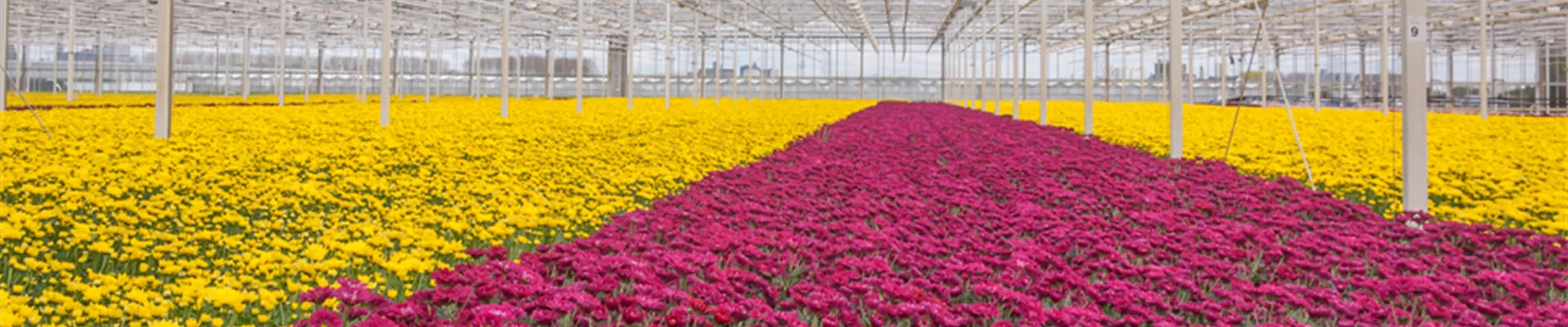 Slider-3 (1) Slider-3 (1)