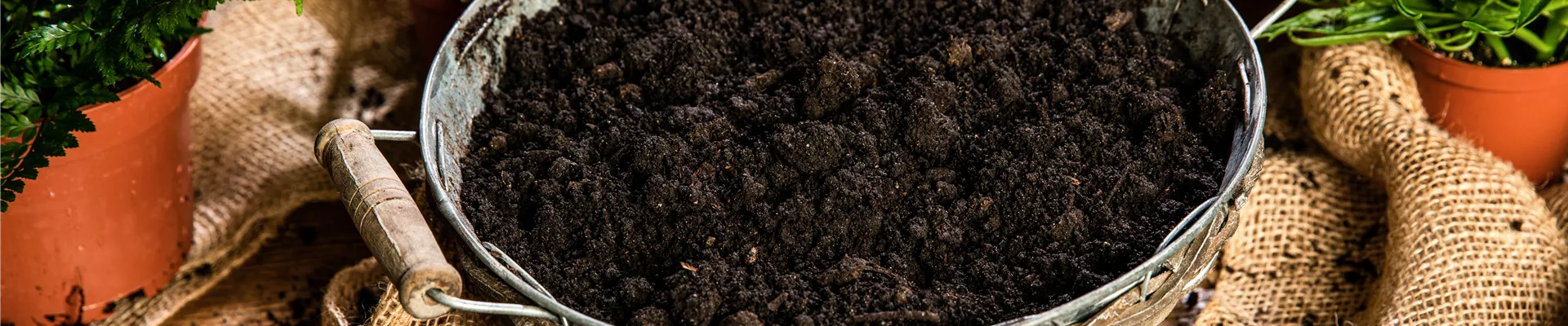 Erde im Kübel Erde im Kübel